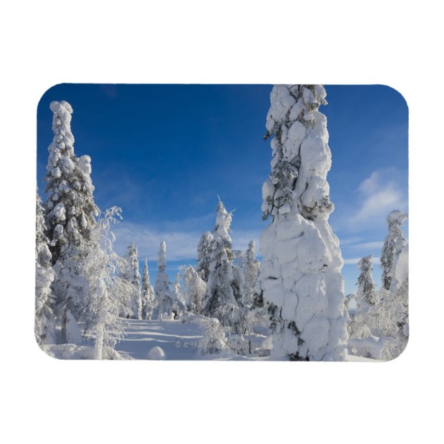 Ímã Paisagem de inverno em Lappland (Horizontal)