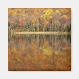 Imã Paisagem de outono com lago, Vermont, EUA