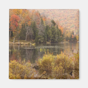 Imã Paisagem de outono com lago, Vermont, EUA 3