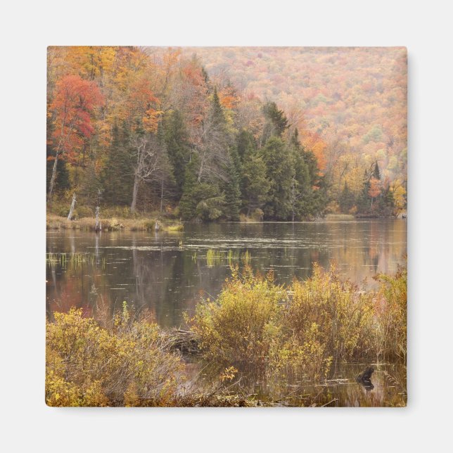 Imã Paisagem de outono com lago, Vermont, EUA 3 (Frente)