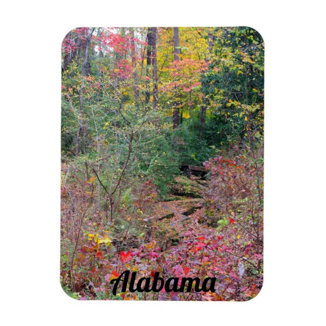 Ímã Paisagem de outono do Alabama (Vertical)