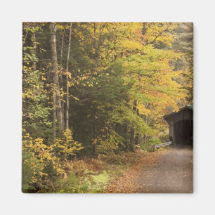 Imã paisagem de outono, Vermont, EUA 4
