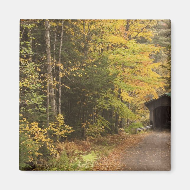 Imã paisagem de outono, Vermont, EUA 4 (Frente)