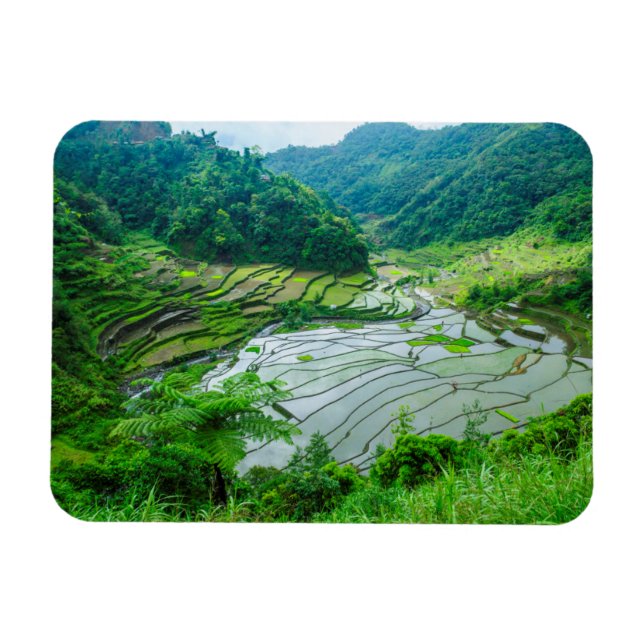Ímã Paisagem de terraço de arroz, Filipinas (Horizontal)