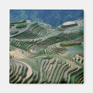 Imã Paisagem de terraços de arroz na montanha,