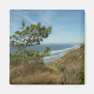 Imã Paisagem de Torrey Pine e Costa da Califórnia