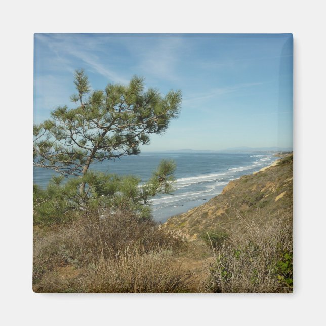 Imã Paisagem de Torrey Pine e Costa da Califórnia (Frente)