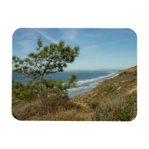 Ímã Paisagem de Torrey Pine e Costa da Califórnia
