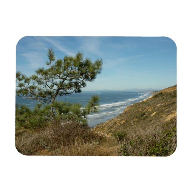 Ímã Paisagem de Torrey Pine e Costa da Califórnia (Horizontal)