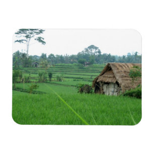 Ímã Paisagem de Vietnam