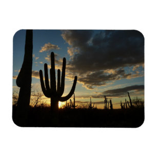 Ímã Paisagem do Deserto de Arizona Saguaro Sunset II
