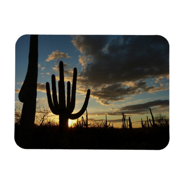 Ímã Paisagem do Deserto de Arizona Saguaro Sunset II (Horizontal)