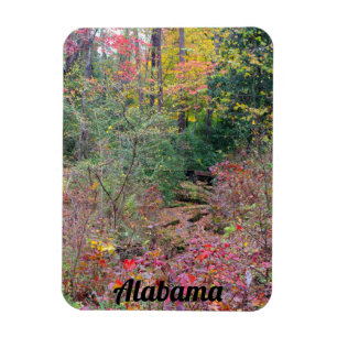 Ímã Paisagem do outono de Alabama