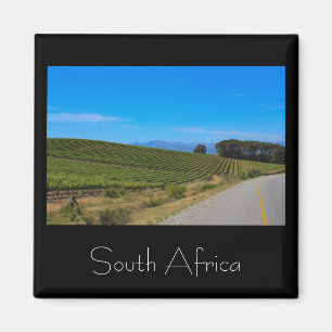 Imã Paisagem do Vineyards South Africa SA Magnet