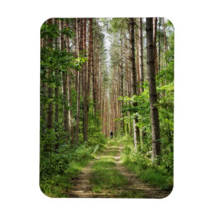 Ímã Paisagem Natural Cenário Florestal da Bielorrússia