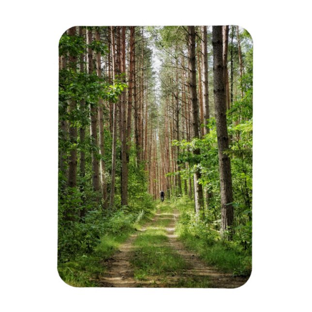 Ímã Paisagem Natural Cenário Florestal da Bielorrússia (Vertical)