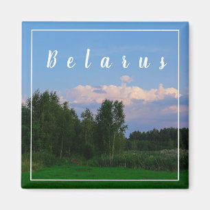 Imã Paisagem Natureza Floresta Floresta Bielorrússia M