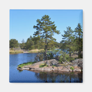 Imã Paisagem sueca