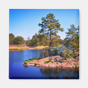 Imã Paisagem sueca
