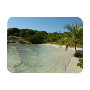 Ímã Paisagem tropical bonita de antiguan Beach