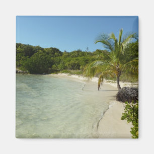Imã Paisagem tropical bonita de antiguan Beach