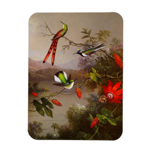 Ímã Paisagem tropical com dez beija-flores