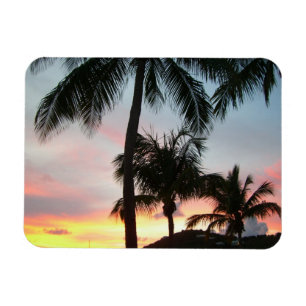 Ímã Paisagem Tropical de Palms Sunset Fotografia