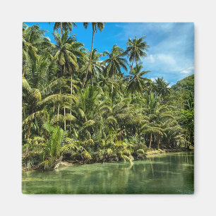 Imã Paisagem tropical, filipinas, Kawasan cai CAS