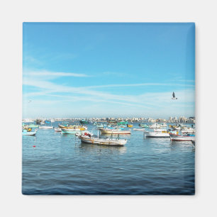 Imã Paisagem Urbana