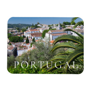 Ímã paisagem urbana de Aveiro, Portugal