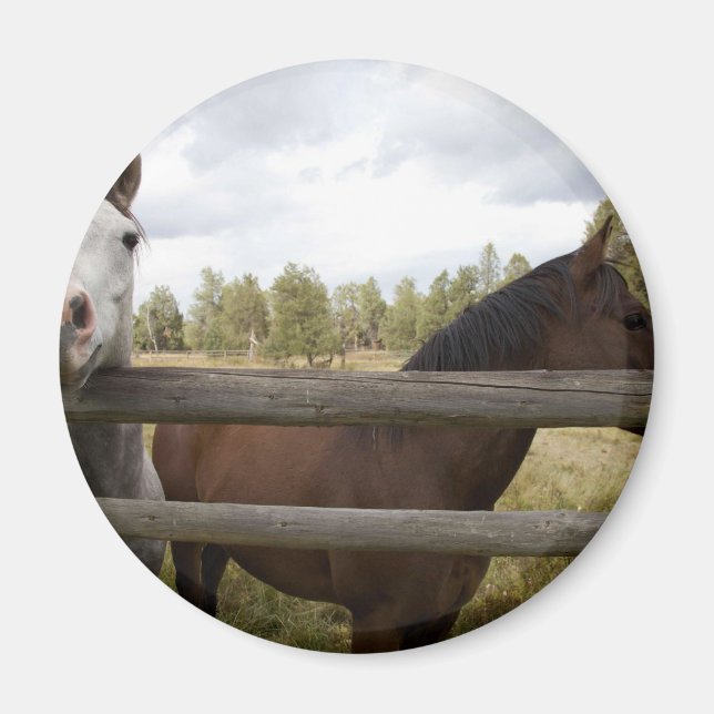 IMÃ PAISAGENS DO PAÍS (Frente)