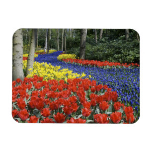Ímã Países Baixos, Holanda, Lisse, Jardins Keukenhof