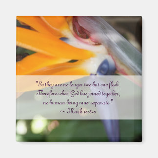 Imã Paixão no Favor do Casamento Cristão no Paraíso