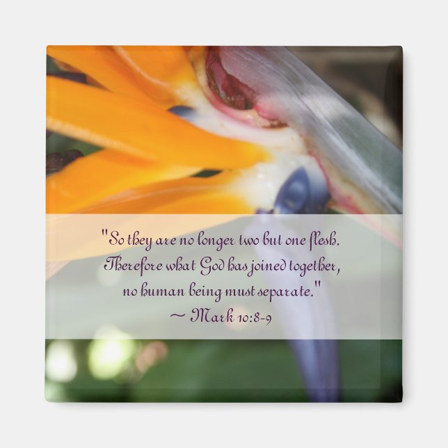 Imã Paixão no Favor do Casamento Cristão no Paraíso (Frente)