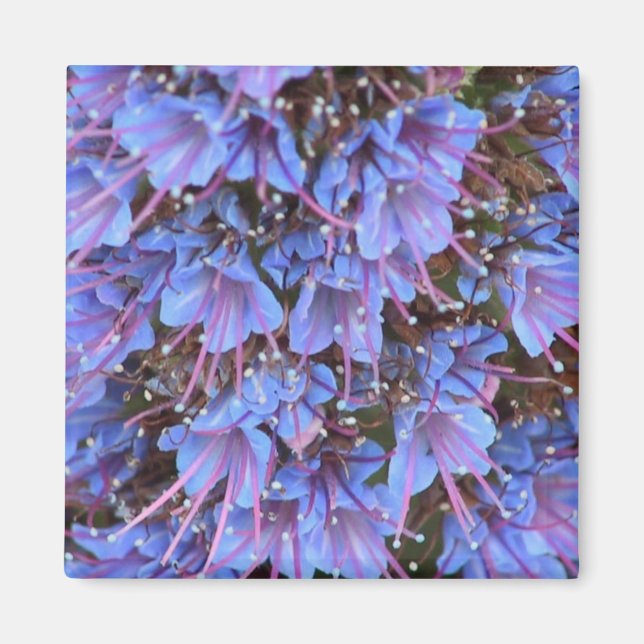 Imã Paixão Roxo (Frente)