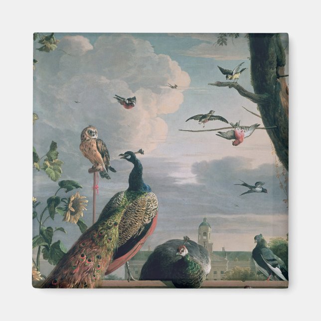 Imã Palácio de Amsterdã com Aves Exóticas (Frente)