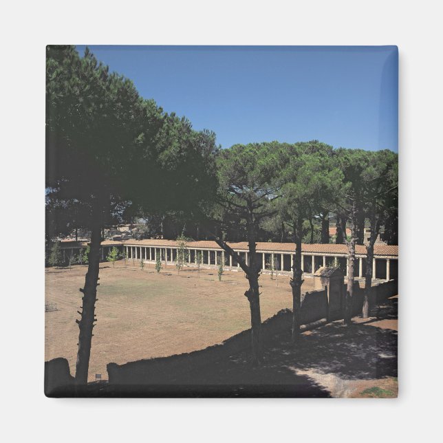 Imã Palaestra Excelente (Frente)