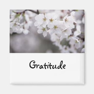 Imã Palavras a viver perto: Ímã da gratitude