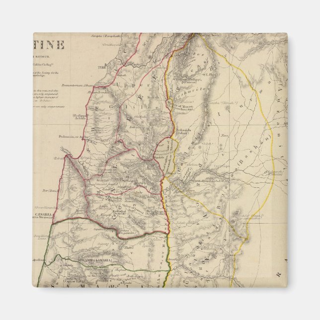 Imã Palestina, tempo do nosso salvador (Frente)