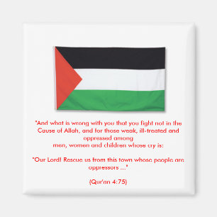 Imã PalestineFlagBig08, "E o que há de errado com você
