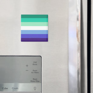 Imã Paleta da bandeira de homens gays trans-inclusivos