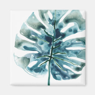 Imã Palm de Joias Tropicais