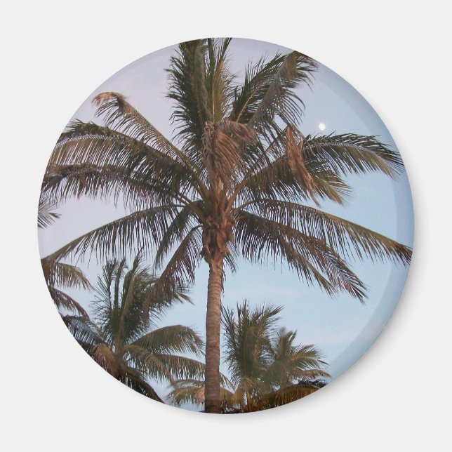 Imã Palm Fica Louco (Frente)