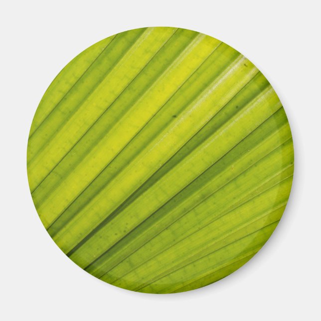 Imã Palm Leaf (Frente)