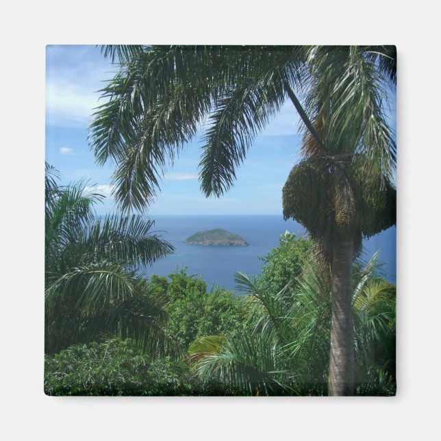 Imã Palm Magnet (Frente)