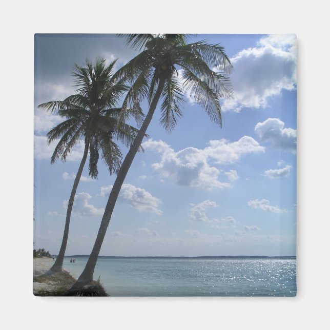 Imã Palm Magnet 2 (Frente)