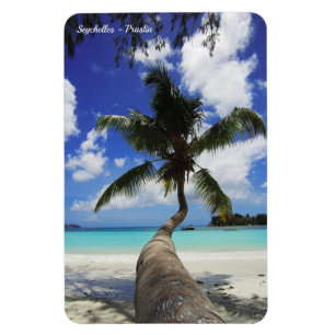 Ímã Palm na Ilha das Seicheles, Praslin