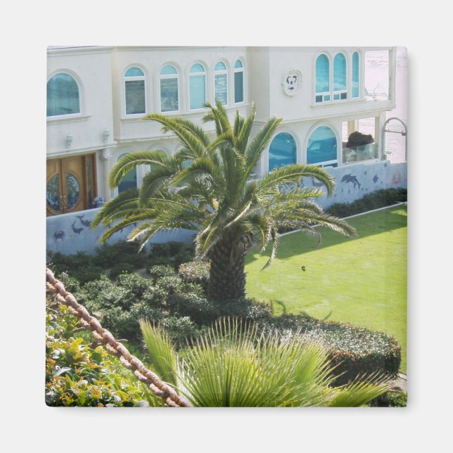 Imã Palm na Oceanside CA (Frente)