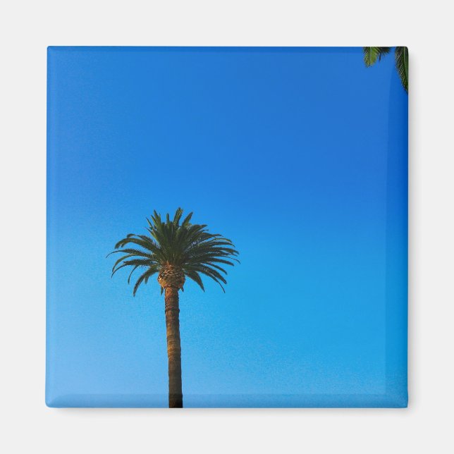 Imã Palm Tree (Frente)