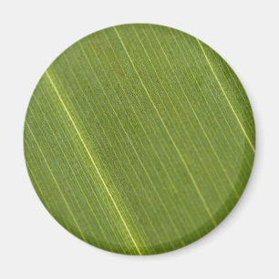 Imã Palm Tree Leaf
